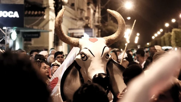 Considerada Patrimônio Cultural do município, festividade dos bois deve reunir mais de 10 mil pessoas por noite