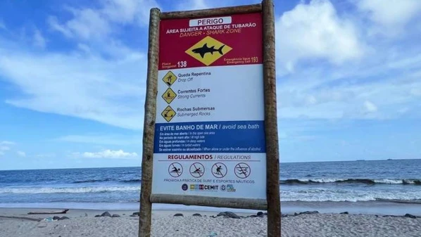 Nos últimos 30 dias, dois incidentes com os animais foram registrados; Recife e região metropolitana tiveram o último monitoramento em 2015