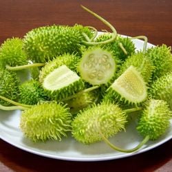 Rico em vitaminas, minerais e fibras, ele se destaca como um alimento funcional 