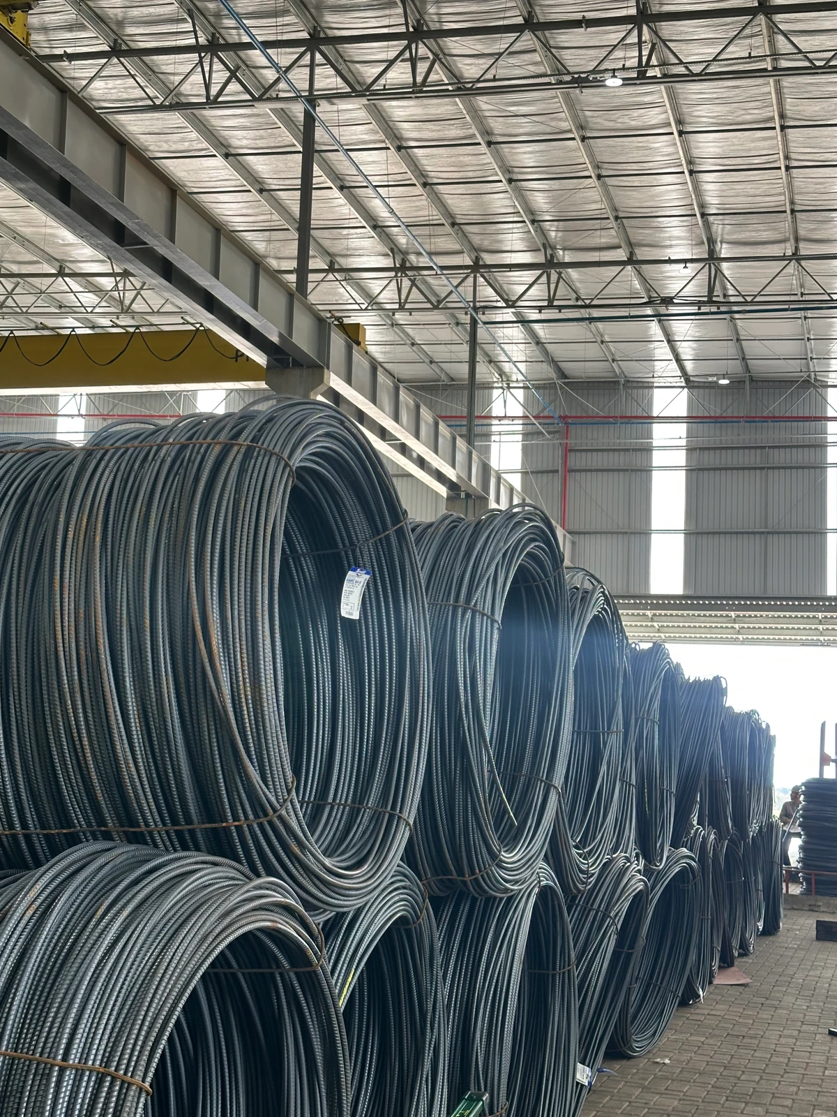 Novo ciclo da Cedisa é marcado por modernização e tecnologia