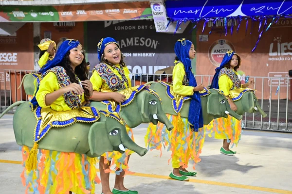 Tradição Serrana foi a penúltima escola a desfilar nesta sexta-feira (13), com o enredo "A Cor da Liberdade é Preta - O Legado de Queimado" por Divulgação | PMV | Marcos Salles