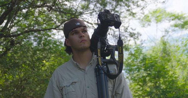 Essa espécie de ave noturna, encontrada na América do Sul e Central, tem sido a inspiração para lendas e mitos em regiões rurais de todo o continente