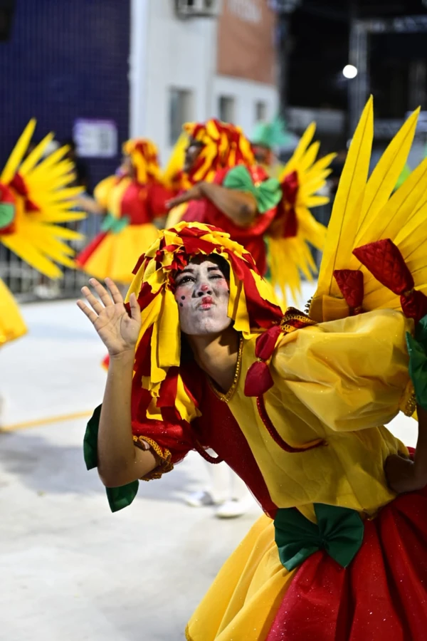 Com o enredo "Viajando na Literatura do Brasil", a União Jovem de Itacibá cruzou a avenida por Léo Silveira 
