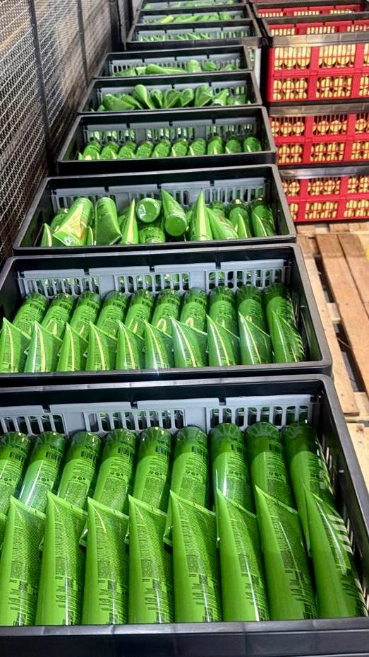 Ybera anuncia retomada de vendas online uma semana após incêndio e acelera plano de expansão por Divulgação 