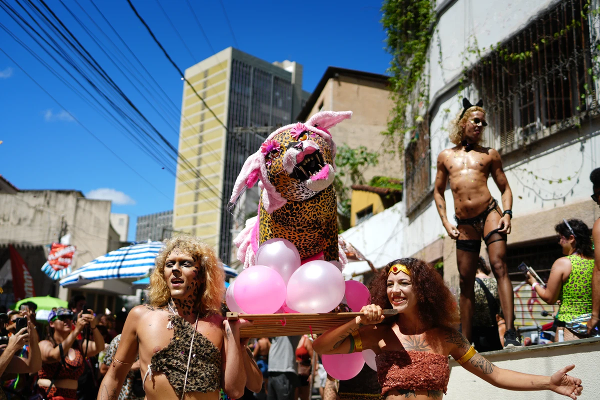 Bloco Amigos da Onça completa 10 anos e leva multidão ao Centro de Vitória por Fernando Madeira