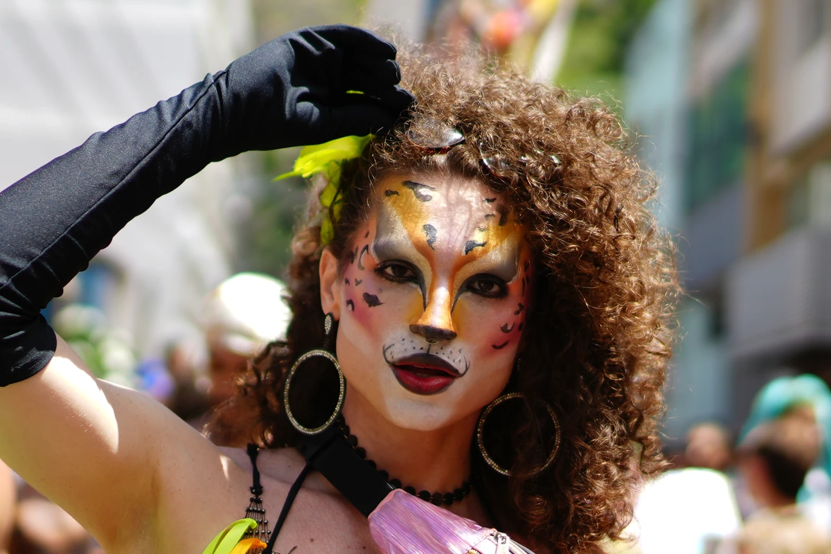 Bloco Amigos da Onça completa 10 anos e leva multidão ao Centro de Vitória por Fernando Madeira