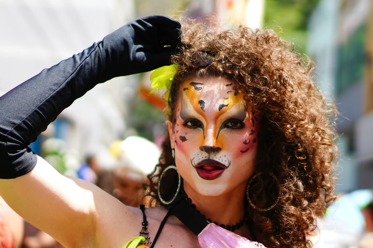 Bloco Amigos da Onça completa 10 anos e leva multidão ao Centro de Vitória por Fernando Madeira