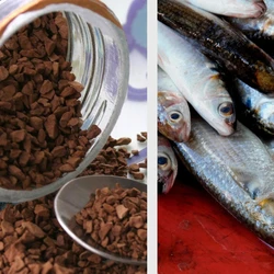 Embora considerem a decisão da justiça norte-americana  positiva, há certa preocupação diante de novas movimentações de Donald Trump