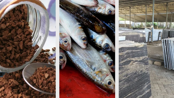 A Gazeta - 6h3qehczjag