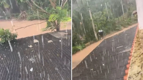 Chuva intensa durou cerca de 30 minutos e provocou queda de árvores, segundo a Defesa Civil Municipal