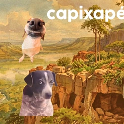 Duas histórias ajudam a explicar o batismo do município: uma mais popular e diretamente ligada a uma cachorrinha que habitava uma fazenda da região, já a outra outra tem relação com a abertura de uma importante estrada; leia, assista e entenda