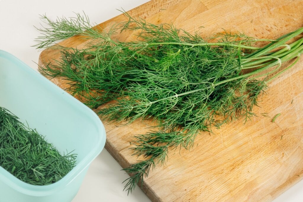 O consumo de endro pode ajudar a prevenir problemas ligados à deficiência de ferro (Imagem: Dargog | Shutterstock)