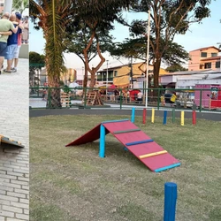 São vários os benefícios desses espaços: ajudam a diminuir o estresse, a ansiedade e a depressão dos pets (e dos donos), uma vez que os dois vão se exercitar ou brincar juntos