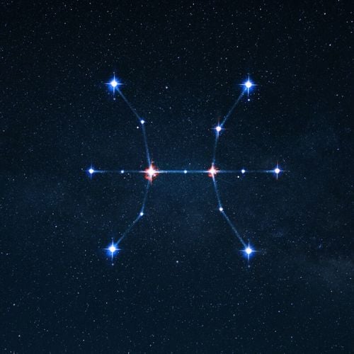 Imagem - Peixes no amor: veja a compatibilidade com os 12 signos do zodíaco