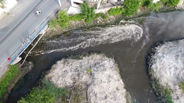 Autoridades e órgãos ambientais tentam identificar a causa do problema, que tem preocupado moradores da região