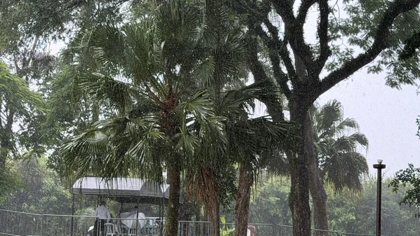 Legado Preservado: Jaqueta de Dinho, dos Mamonas Assassinas, Surge Intacta Quase Três Décadas Após Tragédia