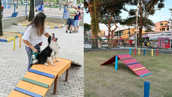 São vários os benefícios desses espaços: ajudam a diminuir o estresse, a ansiedade e a depressão dos pets (e dos donos), uma vez que os dois vão se exercitar ou brincar juntos