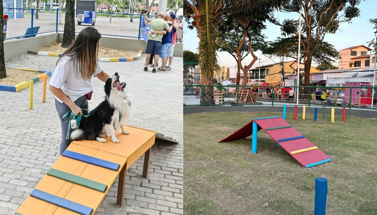 Veja espaços públicos para pets na Grande Vitória