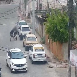Crime ocorreu na manhã de quarta-feira (25) na Barra do Itapemirim; vítima chegou a ser socorrida e levada a uma UPA, mas não resistiu