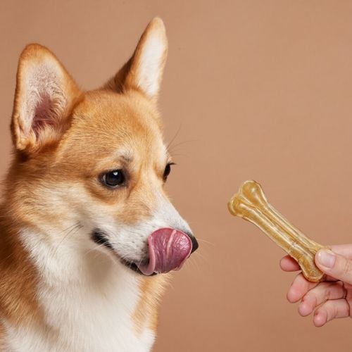 Imagem - 7 erros ao oferecer petiscos aos animais de estimação