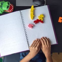 Sem exemplares, pela primeira vez desde a criação do PNLD, mais de 45 mil estudantes com deficiência visual são impactados