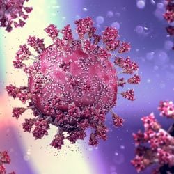 Especialista analisa riscos globais, capacidade de resposta do país e os desafios que ainda persistem