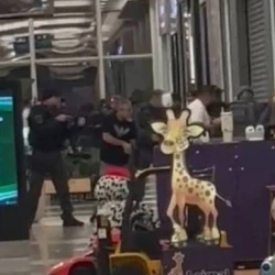 Crime ocorreu em joalheria, onde vítima de 22 anos trabalhava; agressor foi baleado por policial.
Caso provocou pânico e é investigado como feminicídio pela polícia