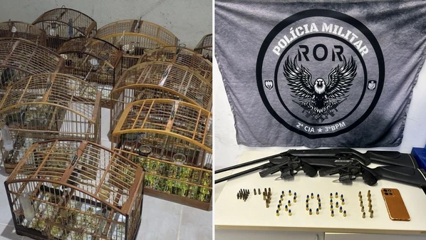Suspeito de 39 anos foi detido durante cumprimento de mandado; aves foram resgatadas pela Polícia Militar Ambiental e armas apreendidas na residência