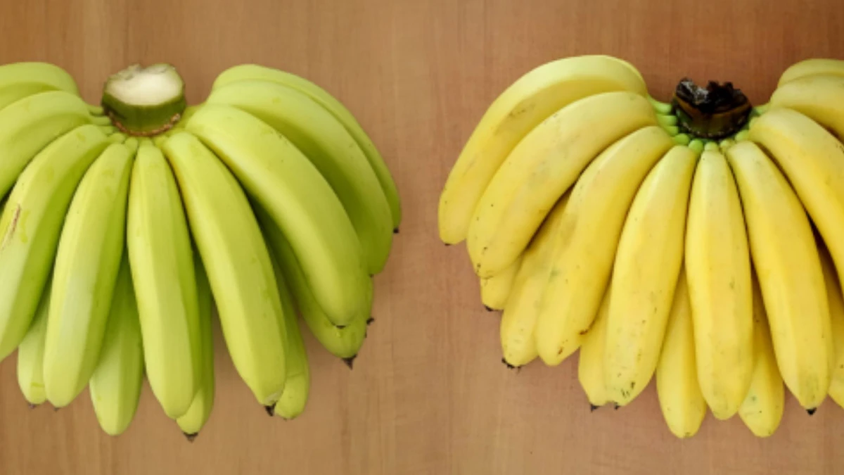 Penca de banana ambrosia