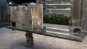 A Gazeta - md88ezt6s9