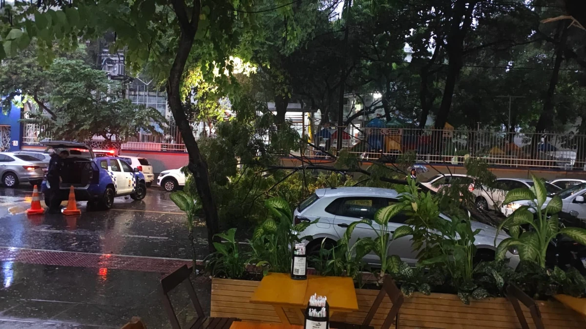 Árvore cai na Rua Constante Sodré, no bairro Santa Lúcia, em Vitória por Leitor A Gazeta