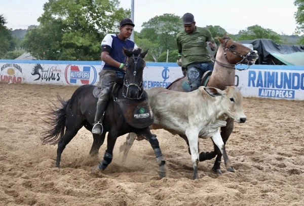 Segundo especialistas, a prática da vaquejada surgiu no Nordeste entre os séculos 17 e 18