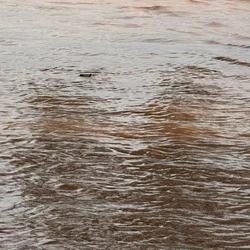 Em Colatina, nível chegou a 4,6 metros; em Linhares, rio ultrapassou a marca de atenção na tarde deste sábado (28)