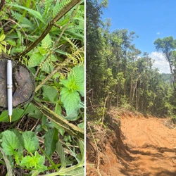 Registros ocorreram nas cidades de Vargem Alta e Iúna. Um dos proprietários de terreno degradado foi multado em mais de R$ 40 mil