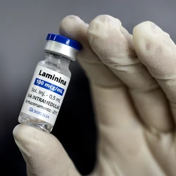 A substância tem sido apresentada como uma possível inovação no tratamento da lesão medular aguda