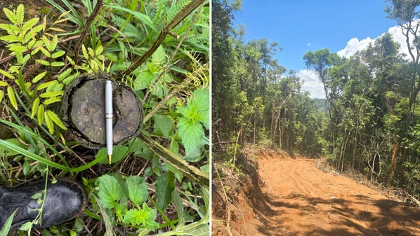 Registros ocorreram nas cidades de Vargem Alta e Iúna. Um dos proprietários de terreno degradado foi multado em mais de R$ 40 mil