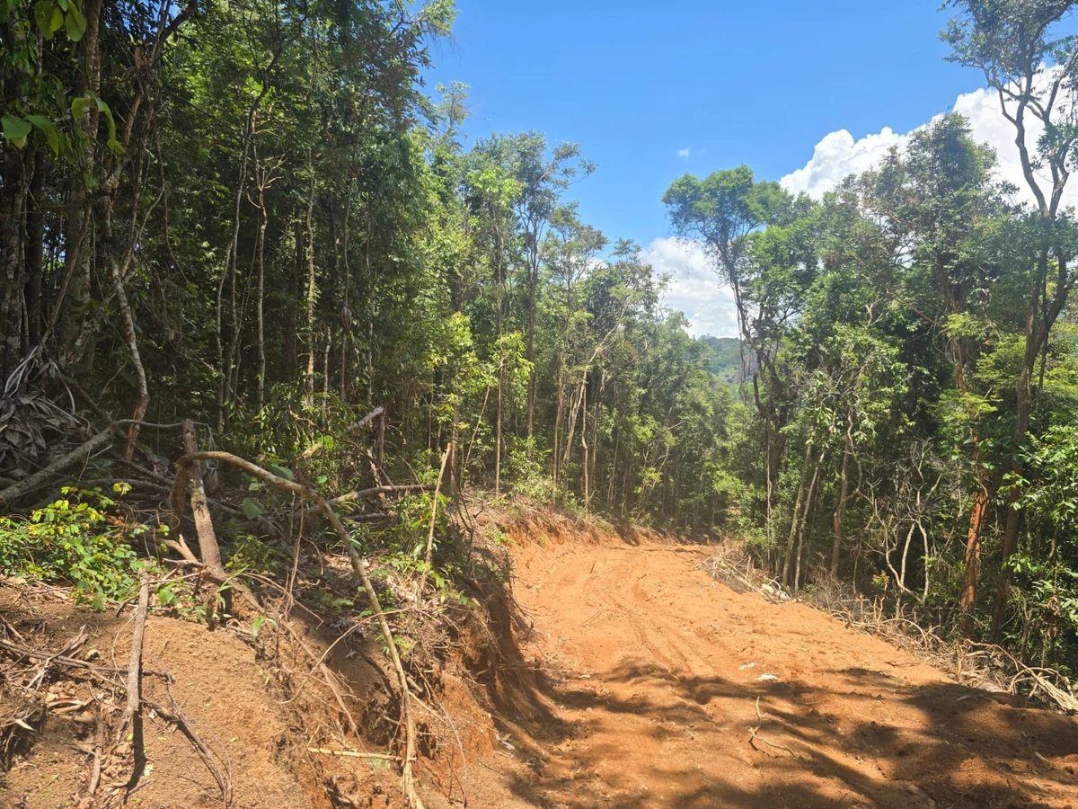 Trilhas foram abertas em área de Mata Atlântica em Iúna, no Caparaó do ES por Divulgação/Polícia Militar Ambiental