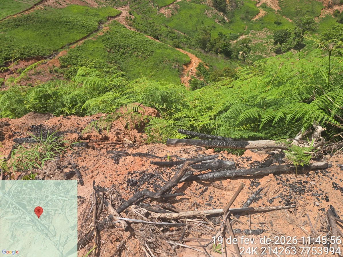 Trecho onde Mata Atlântica foi desmatada na zona rural de Iúna, no Caparaó do ES por Divulgação/Polícia Militar Ambiental