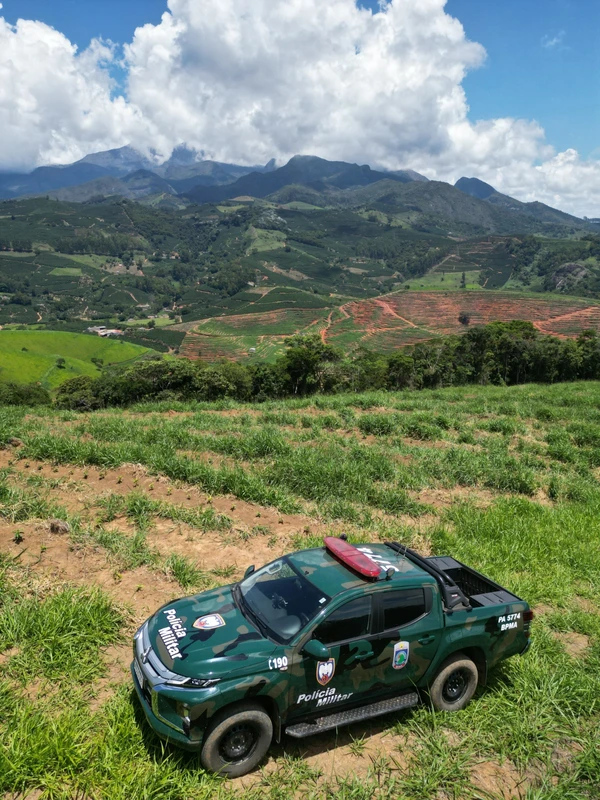 Desmatamento de Mata Atlântica foi flagrado em Iúna, no Caparaó do ES por Divulgação/Polícia Militar Ambiental