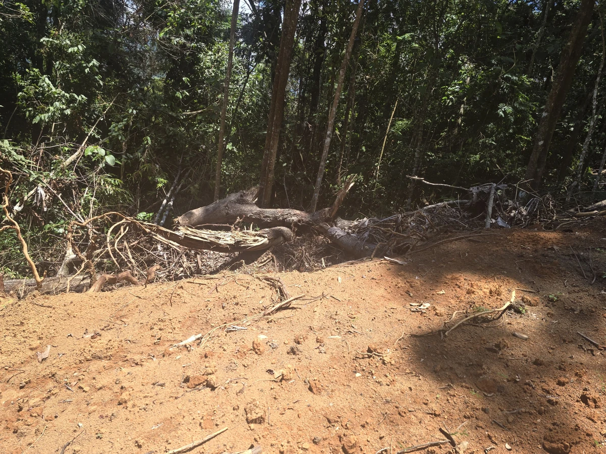 Trilhas foram abertas e barragem construída em área desmatada em Iúna, no Caparaó do ES por Divulgação/Polícia Militar Ambiental