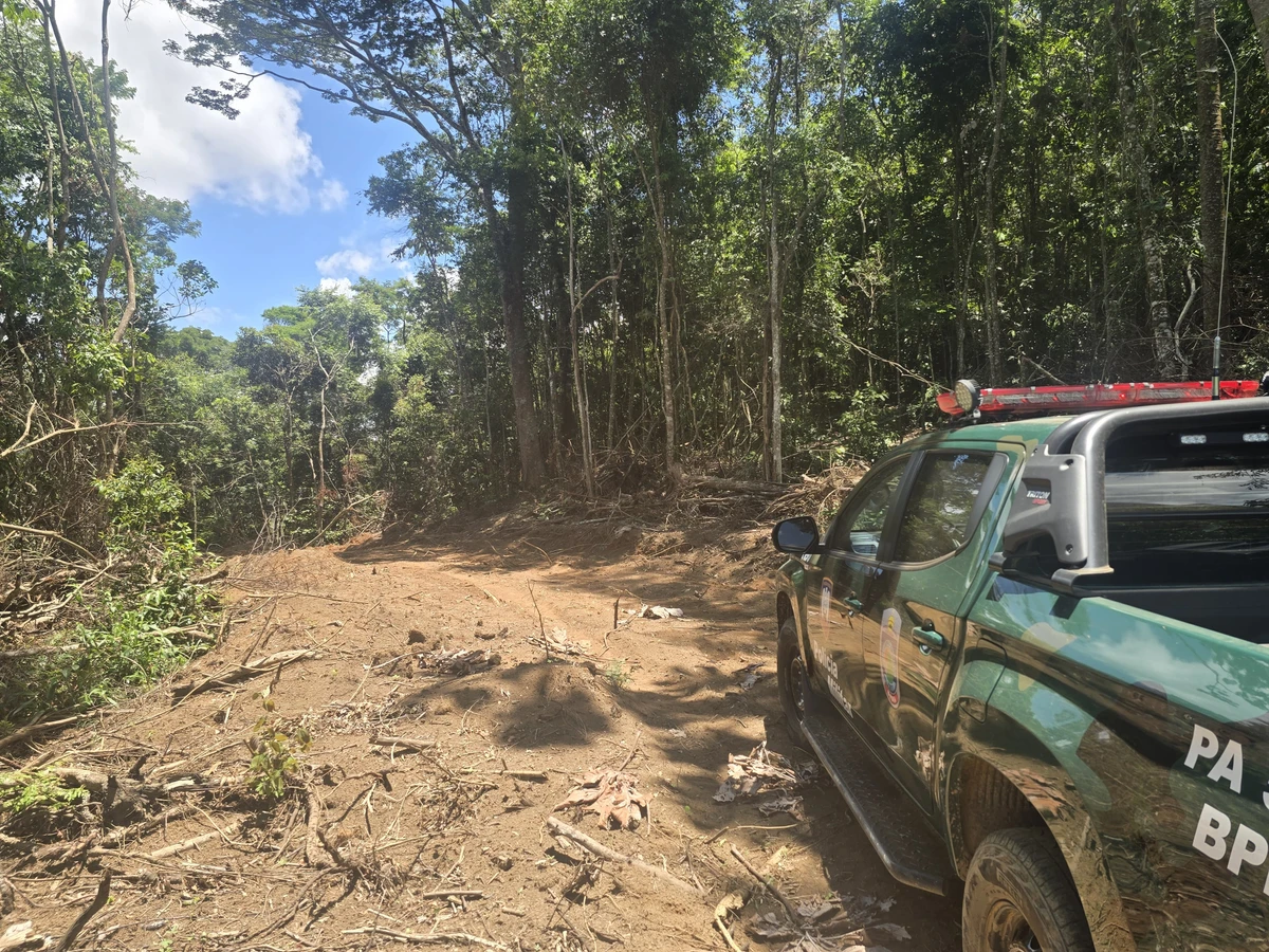 Trilhas foram abertas ilegalmente em área de Mata Atlântica em Iúna, no Caparaó do ES por Divulgação/Polícia Militar Ambiental