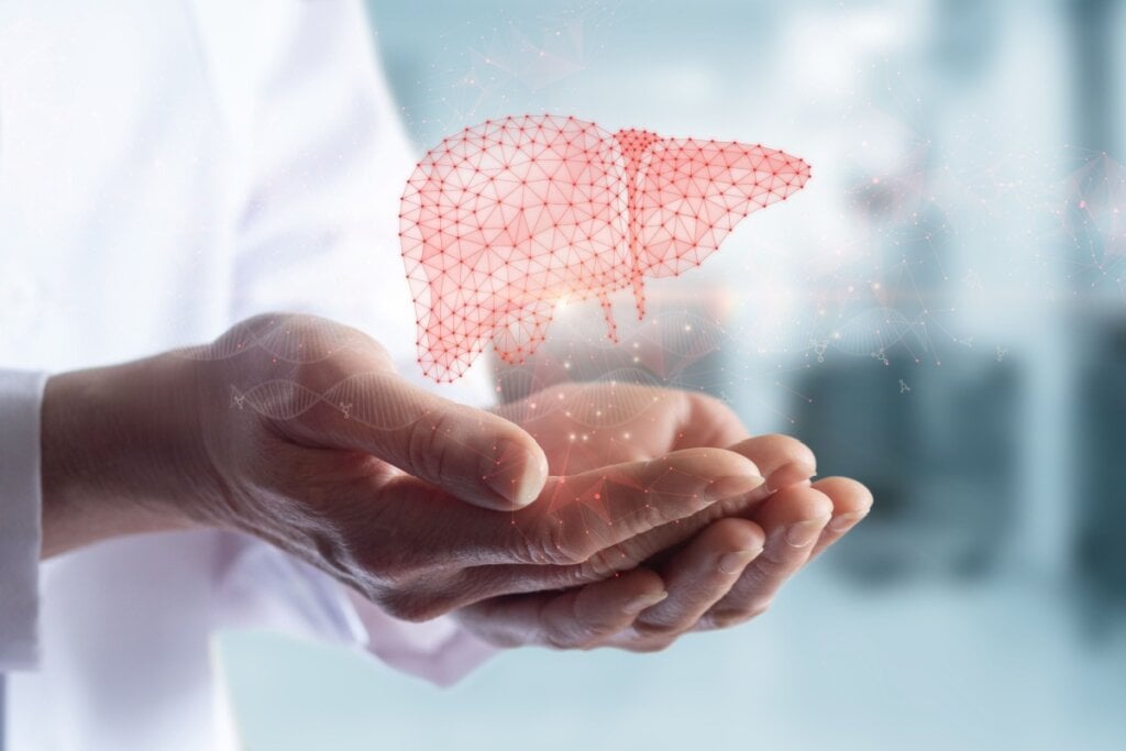 A alta ingestão de proteínas sobrecarrega o fígado e os rins (Imagem: Natali _ Mis | Shutterstock)