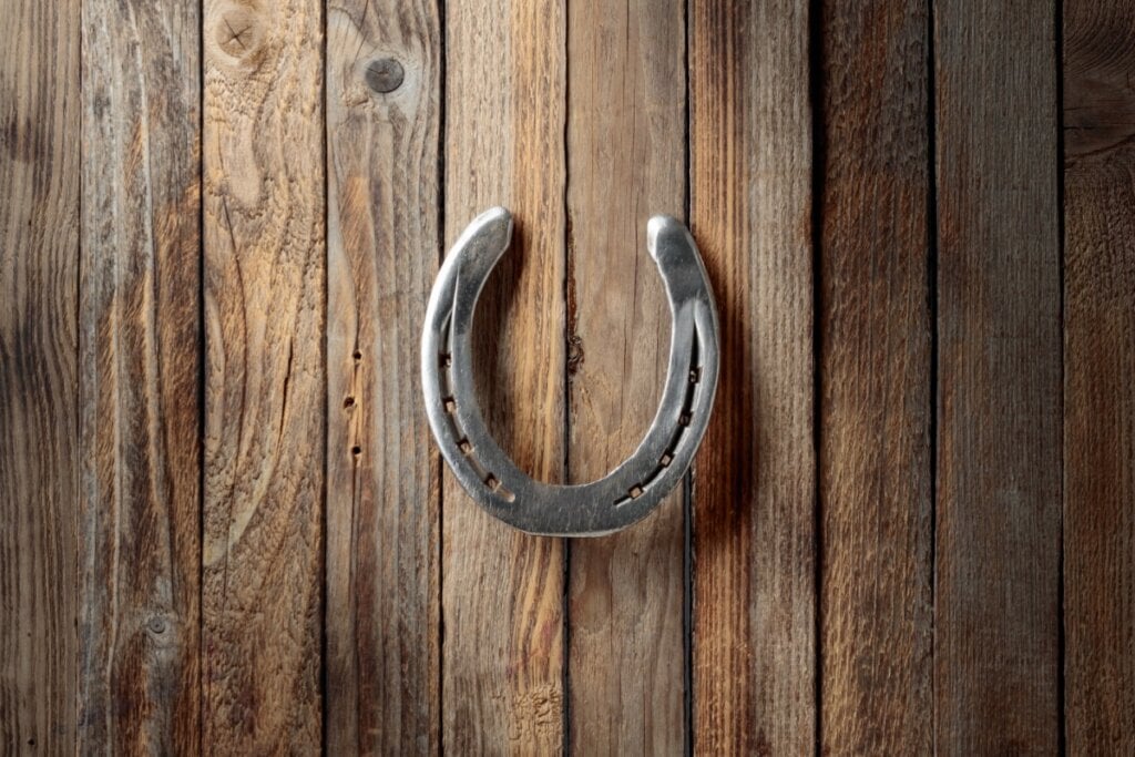 A ferradura representa força, prosperidade e caminhos abertos (Imagem: Igor Normann | Shutterstock)