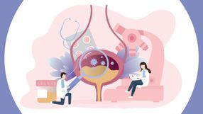 A Gazeta - regie9u1uy