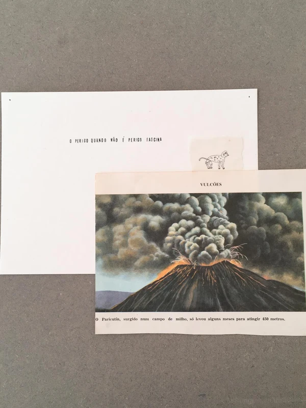 A capixaba  luso-brasileira Polliana Dalla Barba encerra o ciclo 2026