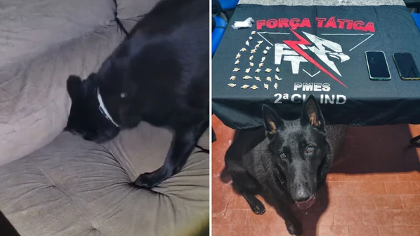 Pedras de crack foram encontradas por cão farejador da PM; Três suspeitos foram detidos, incluindo um já conhecido por traficar drogas