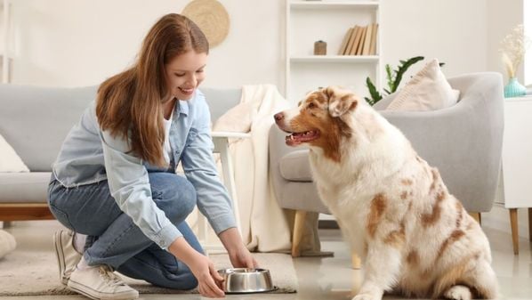 Mudanças no organismo influenciam as necessidades nutricionais e exigem atenção dos tutores no dia a dia