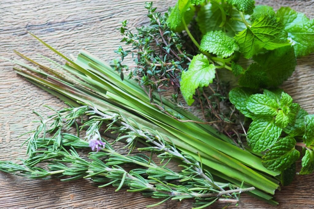 O banho de capim-limão com alecrim e hortelã é indicado para momentos em que é necessário tomar decisões importantes (Imagem: kinako | Shutterstock)
