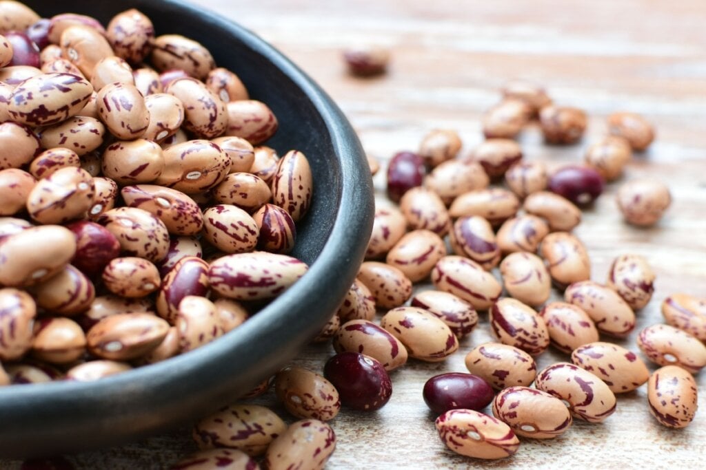 Tradicional na mesa brasileira, o feijão oferece ferro vegetal, proteínas e fibras que contribuem para energia e proteção cardiovascular (Imagem: KreaFoto | Shutterstock)