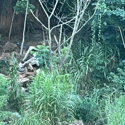 Vítimas ficaram presas às ferragens e a pessoa resgatada foi encaminhada a um hospital em Colatina